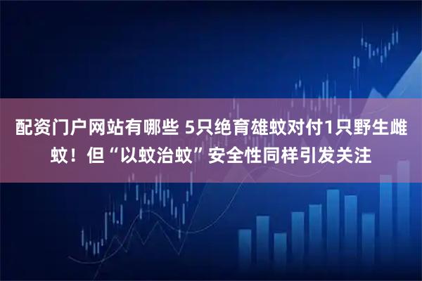 配资门户网站有哪些 5只绝育雄蚊对付1只野生雌蚊！但“以蚊治蚊”安全性同样引发关注