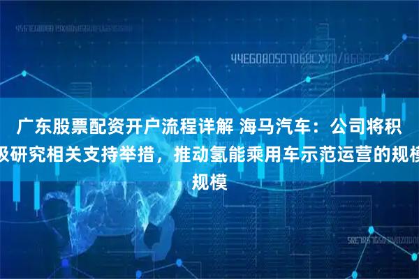 广东股票配资开户流程详解 海马汽车：公司将积极研究相关支持举措，推动氢能乘用车示范运营的规模